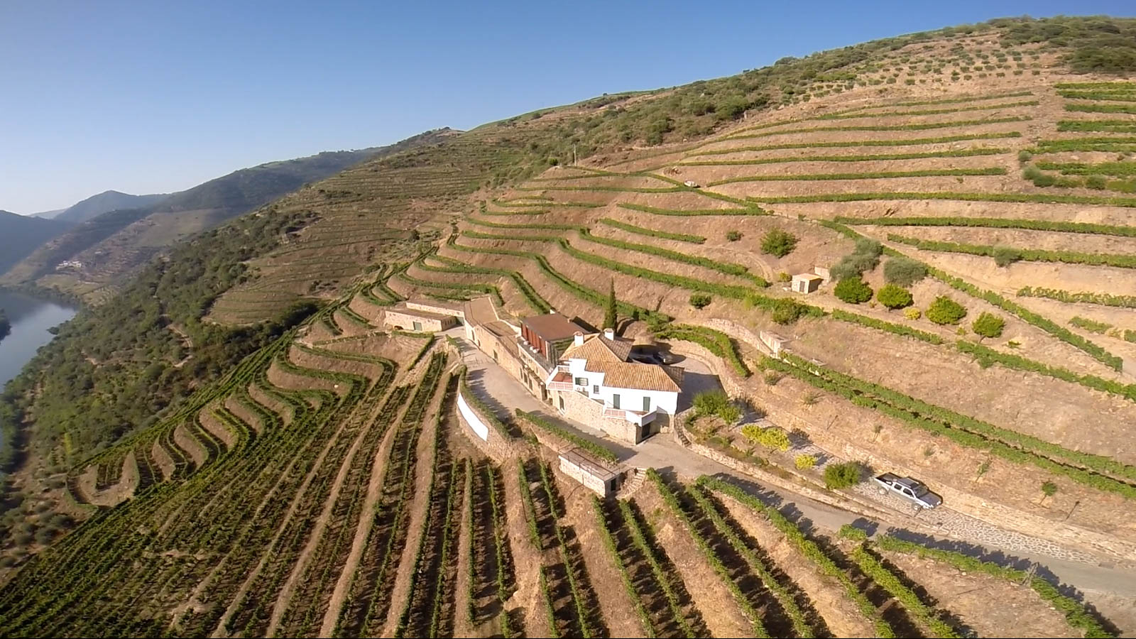 Vinha implantada sobre patamares em solos xistosos